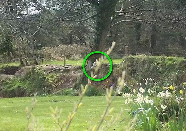 Посмотреть правильный ответ: