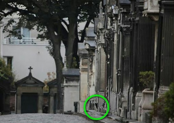 Посмотреть правильный ответ: