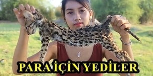 Hepsi YouTube'dan Para Kazanmak İçin! Nesli Tükenmekte Olan Hayvanların Derilerini Yüzüp Yiyen Kadın