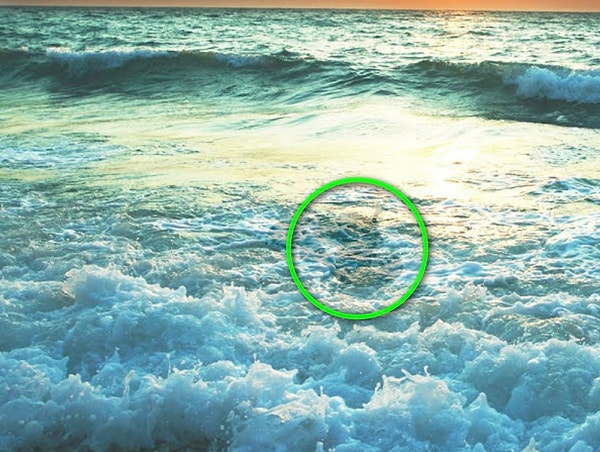 Показать правильный ответ