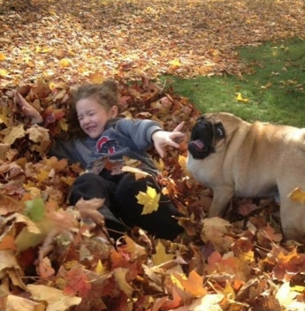 5. Обычная игра с мопсом))))