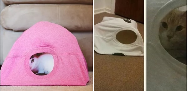 10. Ну главное, кот вполне доволен