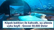 Gecesi 20.000 Dolardan Başlıyor! Lüks Sevenlerin Gözlerinden Kalpler Fışkırtacak Eşsiz Oteller