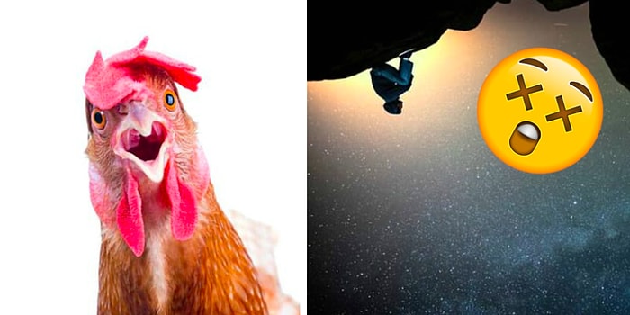 Аллергия на тараканов? И ещё 12 поразительных фактов, от которых вы выпадете в осадок