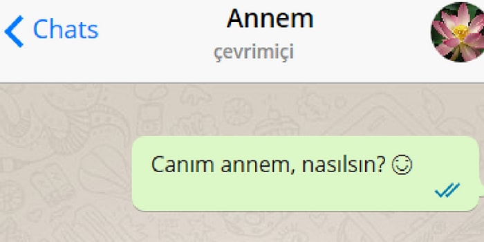 WhatsApp'ta Konuşarak Annenden Harçlık Almayı Başarabilecek misin?