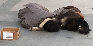 Sokak Ortasında Köpeğe Sarılarak Uyuyan Gencin Yürekleri Sızlatan Görüntüsü