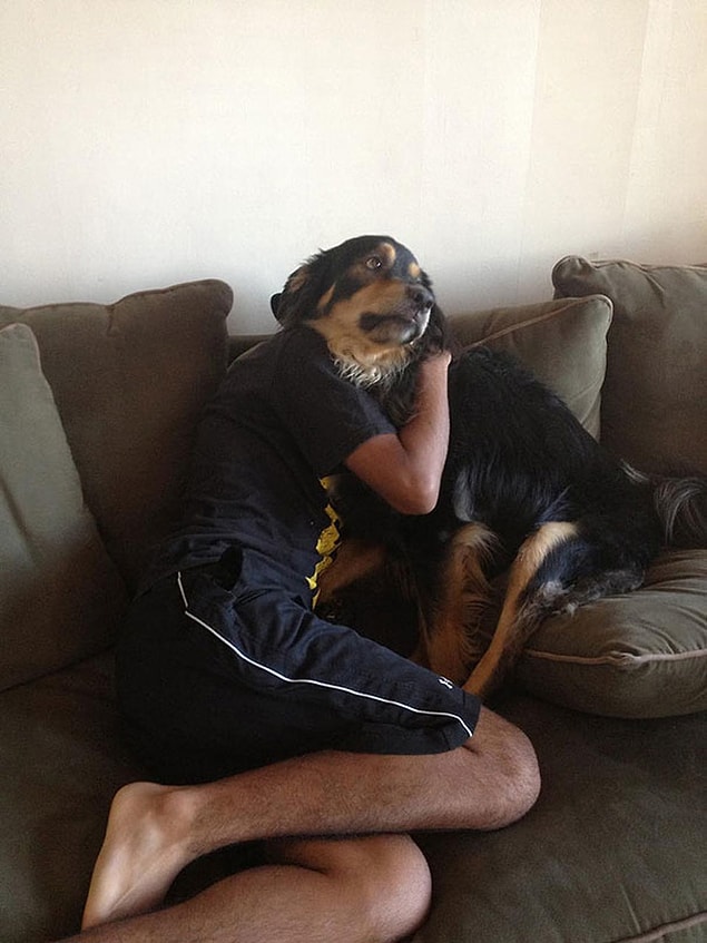 6. Ah canım köpek sahibini teselli ediyor. 😇