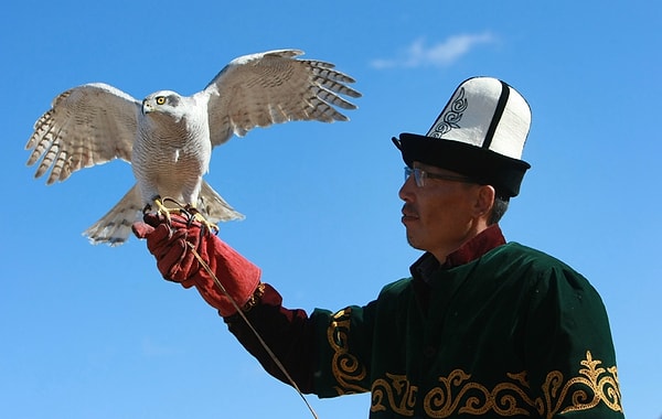 6. Предназначенный для ловли зверей, птиц или насекомых: