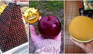 Sanat Eseri Değil Gerçek! Görünce Yemeye Kıyamayacağınız 28 Muhteşem Yiyecek