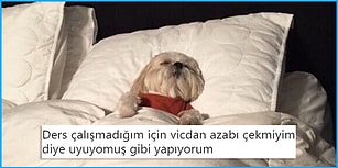 Sınav Dönemi Olmasına Rağmen Ders Çalışmamaya Adeta Yemin Etmiş Kişileri Anlatan 15 Komik Paylaşım