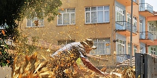 Sıfır Noktası: Mahsulünü Bankanın Önüne Döken Çiftçi Kendini Yakmaya Çalıştı
