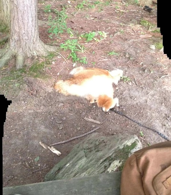 19. Это я во время жаркой погоды!