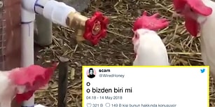 Geçen Haftaki Paylaşımlarıyla Eğlencenin Zirvesini Görüp Hunharca Güldürmüş 15 Uluslararası Mizahşör