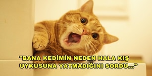 İnsanlara "Ben Bu Salağı Niye Seviyorum Ya?" Dedirten 15 Çileden Çıkarıcı An