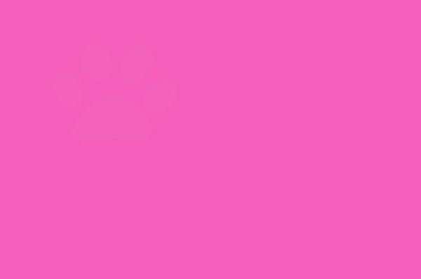 2. А сколько отпечатков собачьих лап на этом изображении?