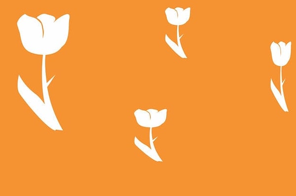 Посмотреть правильный ответ: