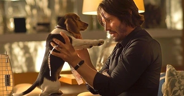 Açılış jeneriğinde "Yönetmen: John Wick'in köpeğini öldüren adamlardan biri" yazıyor.
