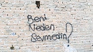 O Vicdansız Seni Neden Sevmedi?