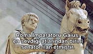 Okuyanı Hayretler İçinde Bırakacak, İnsanlık Tarihine Işık Tutan 14 Şaşırtıcı Bilgi