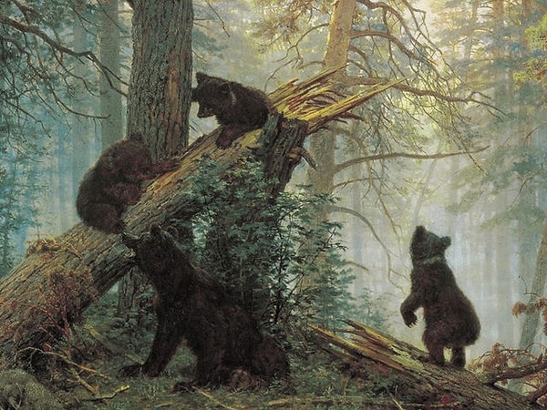 Показать правильный ответ: