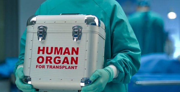 Yılda 5 bin hasta bu merkezden yararlanacak.