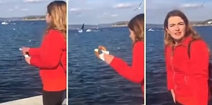 Martılara Simit Atmak İsterken Telefonunu Fırlatan Kadının Dramı