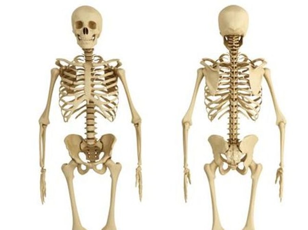 9. На сколько сантиметров рост человека утром отличается от вечера?