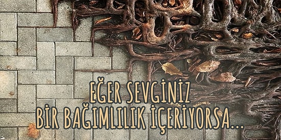 Sevgi Neydi? Gerçek Sevgiye Olan Bakış Açınızı Kökten Değiştirecek Bir Yaklaşımla Tanışmaya Hazır mısınız?