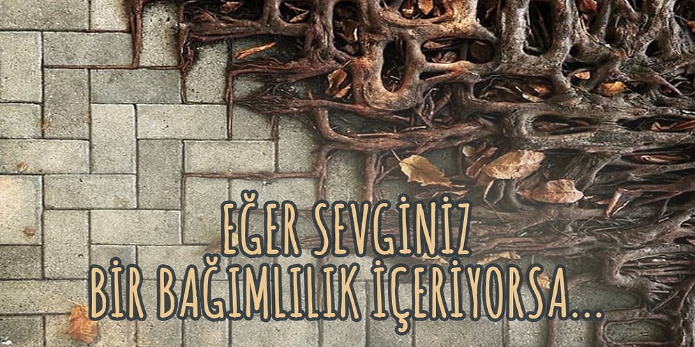 Sevgi Neydi? Gerçek Sevgiye Olan Bakış Açınızı Kökten Değiştirecek Bir Yaklaşımla Tanışmaya Hazır mısınız?
