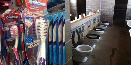 Фотографии, которые могут поставить ваш мозг в неловкое положение