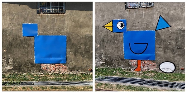 #9 Местная птичка