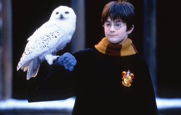 Hedwig