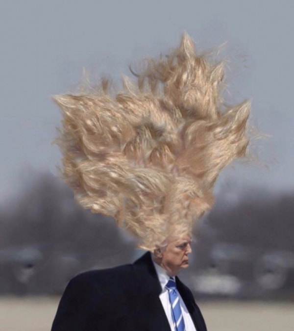 7. Стоит голове уменьшиться, как шевелюра резко увеличивается :D