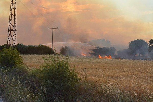 Kontrol altına alınan yangında ilk belirlemelere göre 50 hektarlık alan zarar gördü.