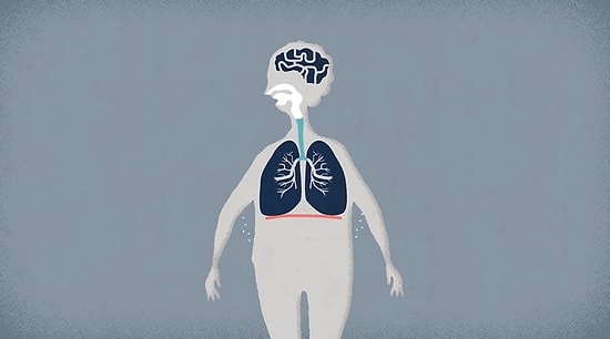 Akciğerler Ne İşe Yarar?