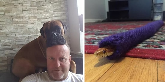 Фотографии, доказывающие, что люди могут любить животных до беспамятства