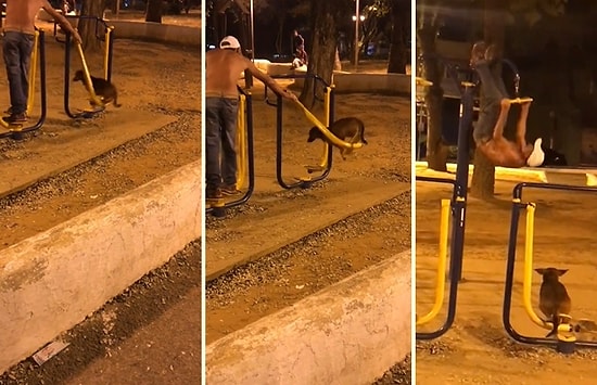 Spor Aletlerini Kullanırken Köpeğine de Spor Yaptırtan Adam