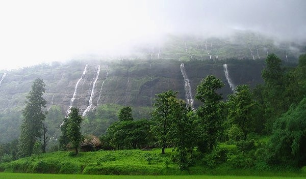 4. Какое животное является национальным в Индии?