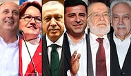 Hayvan Hakları Konusunda Siyasilerin Tutumu Nasıl? Seçim Bildirgelerinde Neler Var?