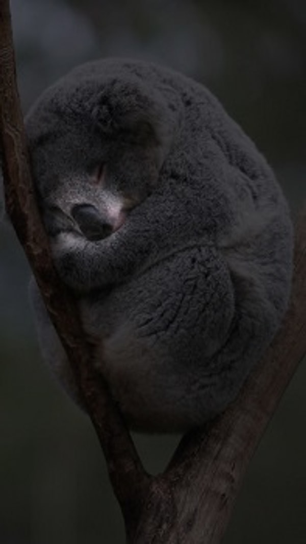 Посмотреть правильный ответ: