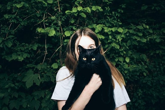 Biz Bu Pofuduklara Bayılıyoruz ve Çok Seviyoruz! Peki Kediler Kucaklaşmaktan Gerçekten Hoşlanıyorlar mı?