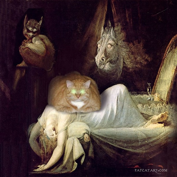 29. "Ночной кошмар и кошачий дозор"