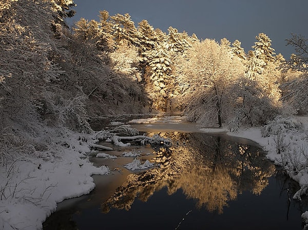 1. Какой цвет на этой картинке доминирует?