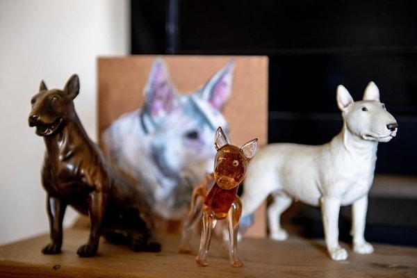 16. "И я не могу развернуться и сказать, что больше не буду этого делать, это моя ответственность, я взяла собак, я не могу просто взять и остановиться".