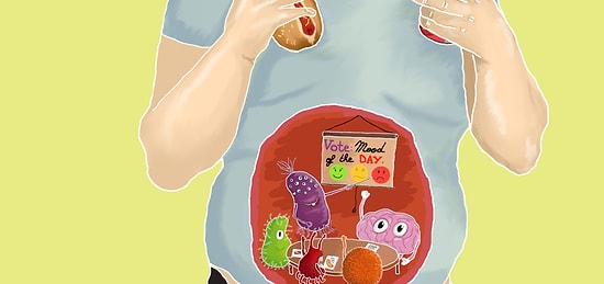 Оказывается, у нас есть два мозга. И ''второй'' из них находится в кишечнике