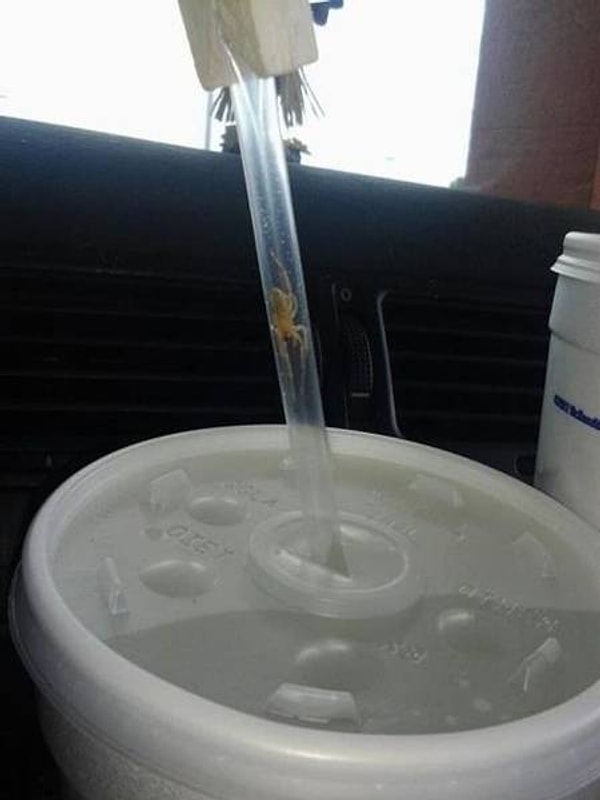 9. После этого фото 100 раз подумаешь, прежде чем купить напиток, приготовленный не тобой