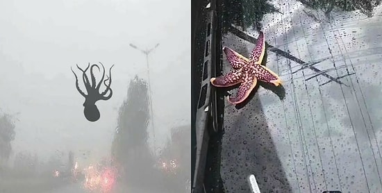 Китай накрыл шторм, в результате которого выпали осадки в виде морских существ