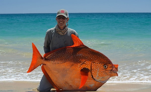 8. Учёные из Калифорнии обнаружили первую в мире теплокровную рыбу, это краснопёрый попах или луна-рыба.