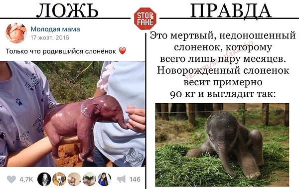 9. Все еще верите пабликам в соцсетях?