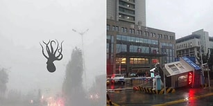 Çin'de Yaşanan Şiddetli Fırtınada Gökyüzünden Deniz Canlıları Yağdı İddiası